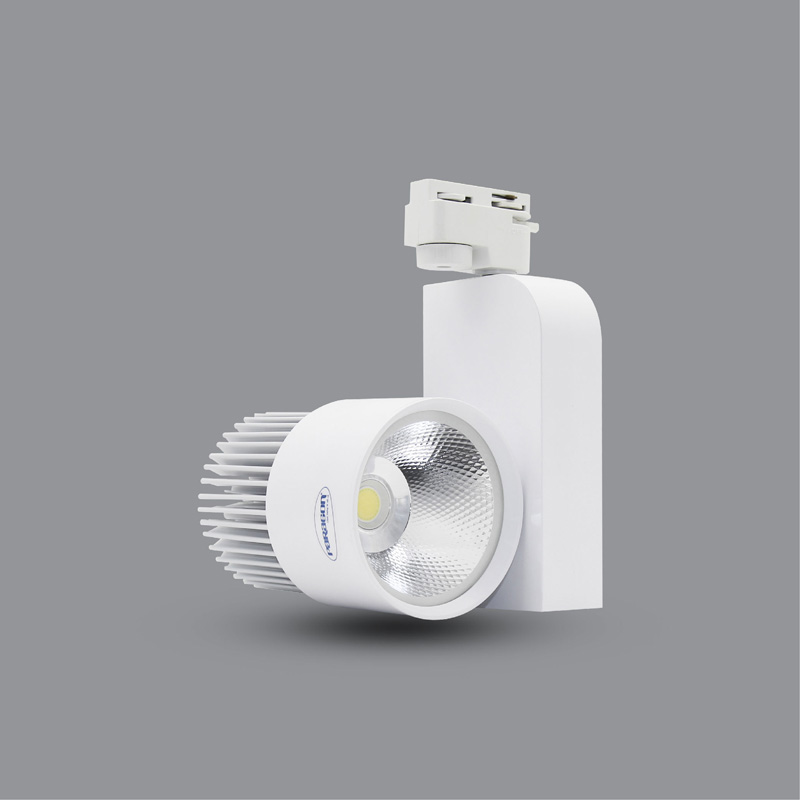 ĐÈN LED PHA TIÊU ĐIỂM PSLOO20L