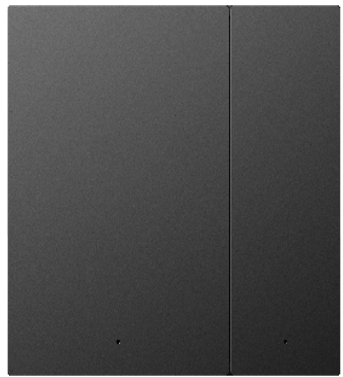 ZB P10 Series 2-Gang 2-Button Switch Panel (Black)